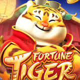 tiger fortune ícone